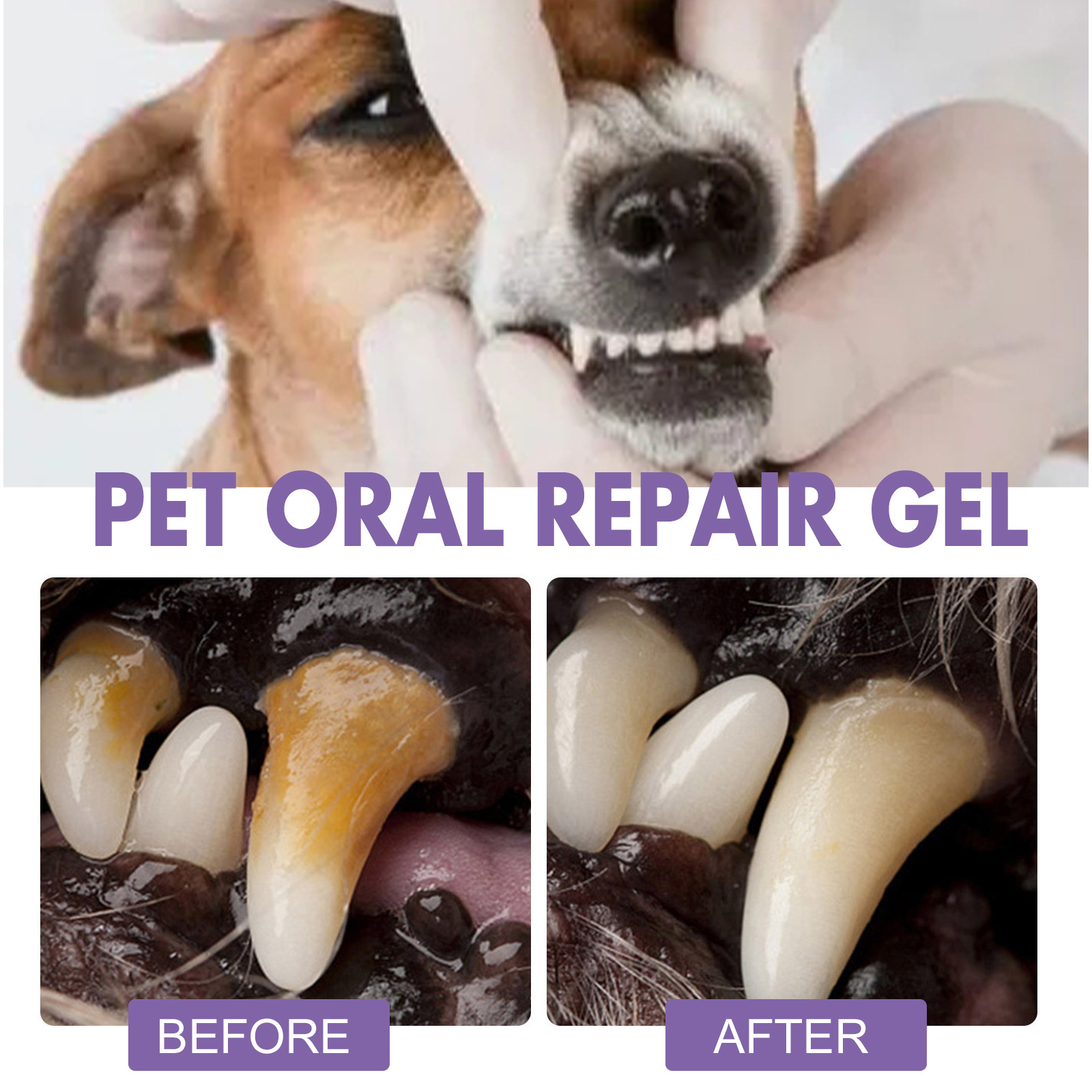 Pet Oral Repair Gel Puppy Tart - Teeth Whitening Mouthwash recension och pris